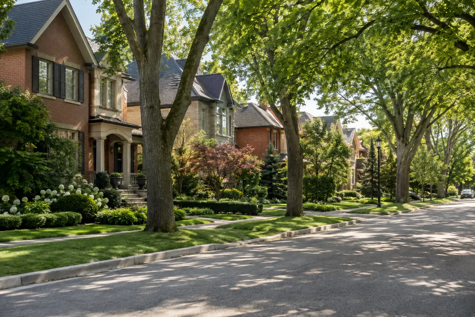 Tree-lined Oakville residential street with mature detached homes.